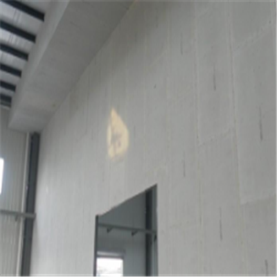 西双版纳宁波ALC板|EPS加气板隔墙与混凝土整浇联接的实验研讨